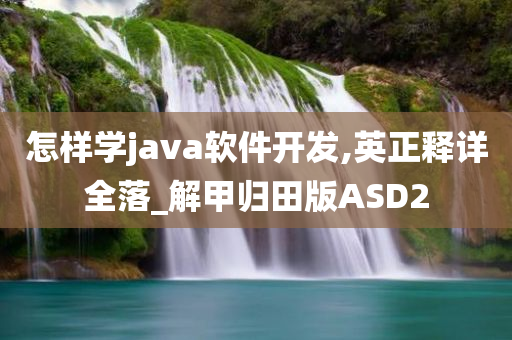 怎样学java软件开发,英正释详全落_解甲归田版ASD2