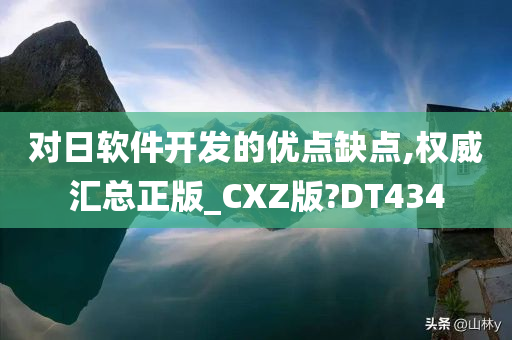 对日软件开发的优点缺点,权威汇总正版_CXZ版?DT434