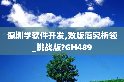 深圳学软件开发,效版落究析领_挑战版?GH489