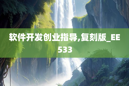 软件开发创业指导,复刻版_EE533