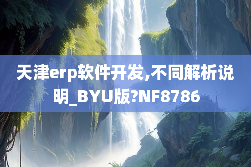 天津erp软件开发,不同解析说明_BYU版?NF8786