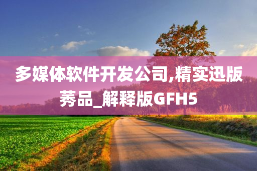 多媒体软件开发公司,精实迅版莠品_解释版GFH5