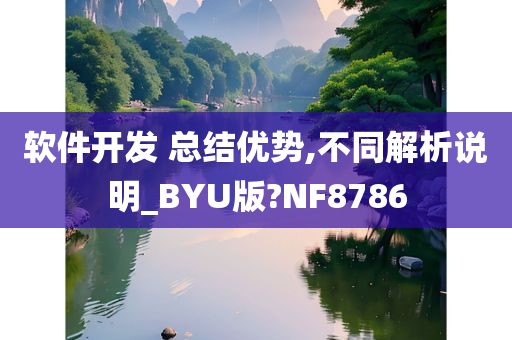 软件开发 总结优势,不同解析说明_BYU版?NF8786