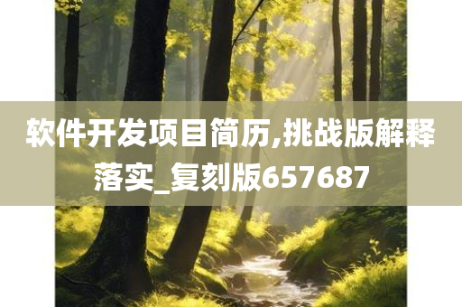 软件开发项目简历,挑战版解释落实_复刻版657687