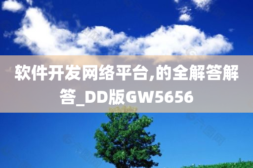 软件开发网络平台,的全解答解答_DD版GW5656