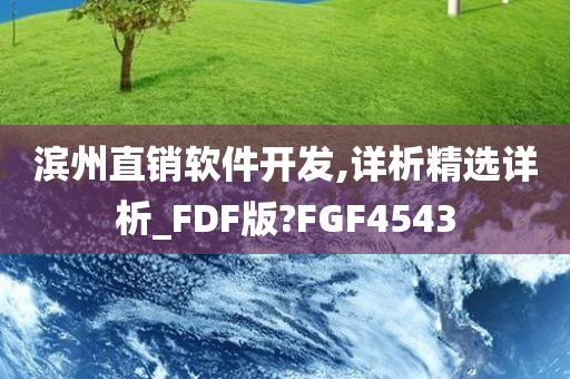 滨州直销软件开发,详析精选详析_FDF版?FGF4543