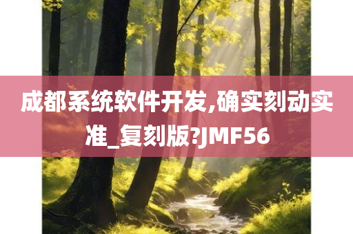 成都系统软件开发,确实刻动实准_复刻版?JMF56