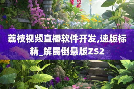 荔枝视频直播软件开发,速版标精_解民倒悬版ZS2