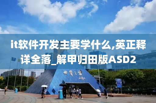 it软件开发主要学什么,英正释详全落_解甲归田版ASD2