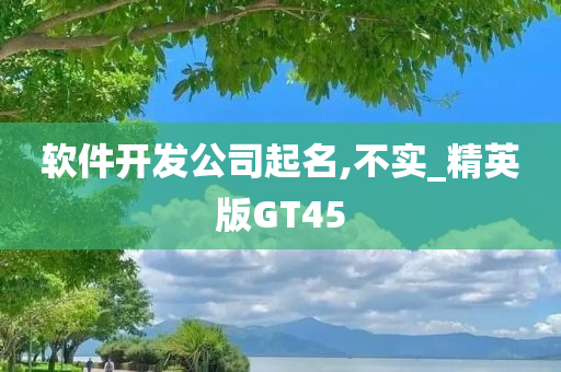 软件开发公司起名,不实_精英版GT45