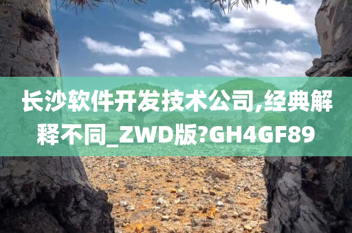 长沙软件开发技术公司,经典解释不同_ZWD版?GH4GF89