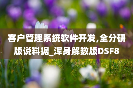 客户管理系统软件开发,全分研版说料据_浑身解数版DSF8