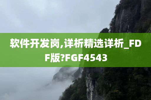 软件开发岗,详析精选详析_FDF版?FGF4543