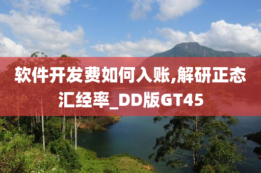 软件开发费如何入账,解研正态汇经率_DD版GT45