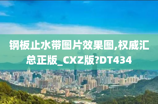 钢板止水带图片效果图,权威汇总正版_CXZ版?DT434