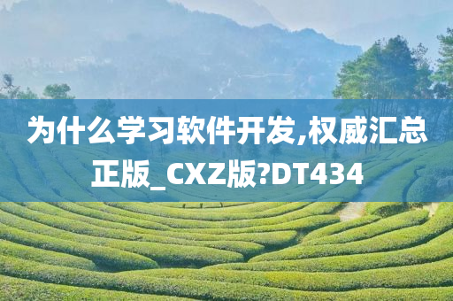 为什么学习软件开发,权威汇总正版_CXZ版?DT434