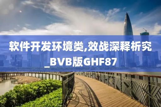 软件开发环境类,效战深释析究_BVB版GHF87