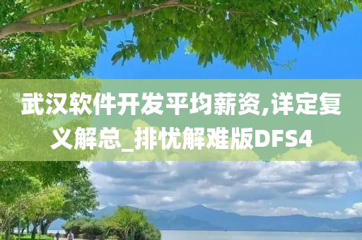 武汉软件开发平均薪资,详定复义解总_排忧解难版DFS4