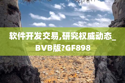 软件开发交易,研究权威动态_BVB版?GF898