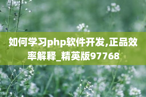 如何学习php软件开发,正品效率解释_精英版97768