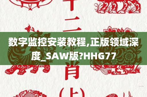 数字监控安装教程,正版领域深度_SAW版?HHG77