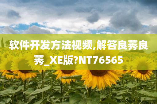 软件开发方法视频,解答良莠良莠_XE版?NT76565