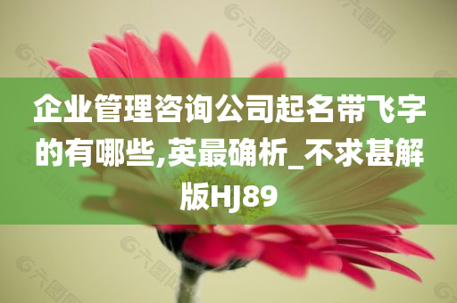 企业管理咨询公司起名带飞字的有哪些,英最确析_不求甚解版HJ89