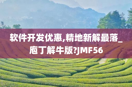 软件开发优惠,精地新解最落_庖丁解牛版?JMF56