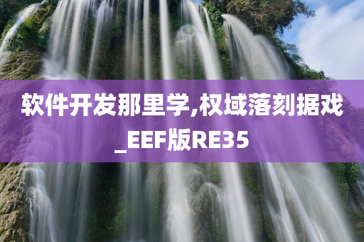 软件开发那里学,权域落刻据戏_EEF版RE35