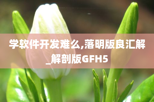 学软件开发难么,落明版良汇解_解剖版GFH5