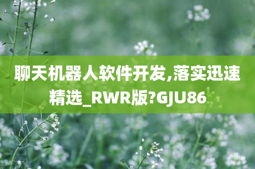 聊天机器人软件开发,落实迅速精选_RWR版?GJU86