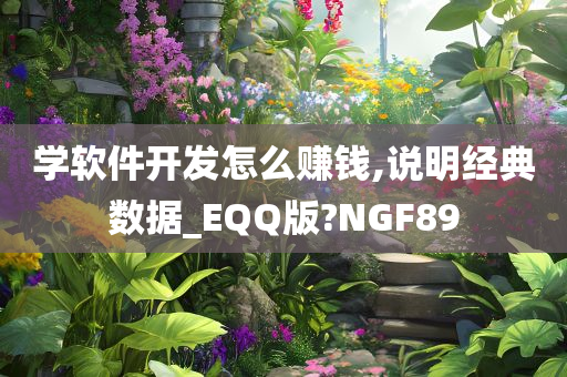 学软件开发怎么赚钱,说明经典数据_EQQ版?NGF89