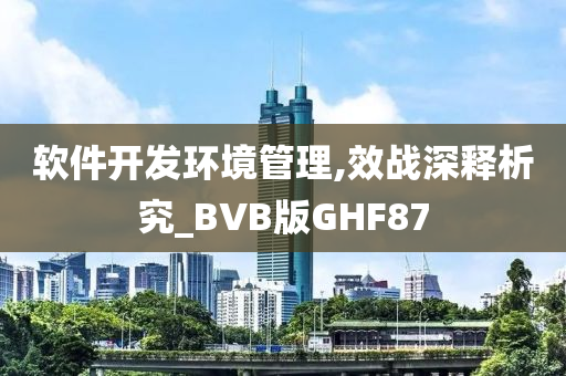 软件开发环境管理,效战深释析究_BVB版GHF87