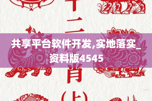 共享平台软件开发,实地落实_资料版4545