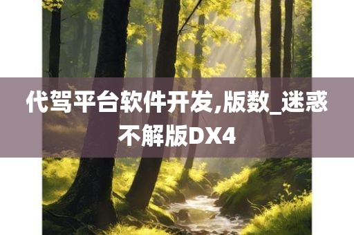 代驾平台软件开发,版数_迷惑不解版DX4