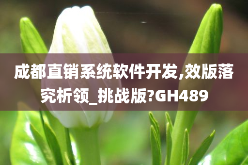 成都直销系统软件开发,效版落究析领_挑战版?GH489