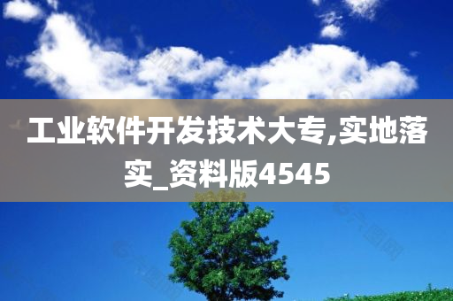 工业软件开发技术大专,实地落实_资料版4545