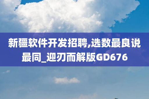 新疆软件开发招聘,选数最良说最同_迎刃而解版GD676