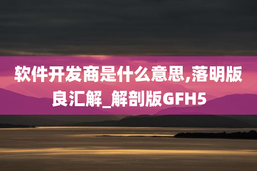 软件开发商是什么意思,落明版良汇解_解剖版GFH5