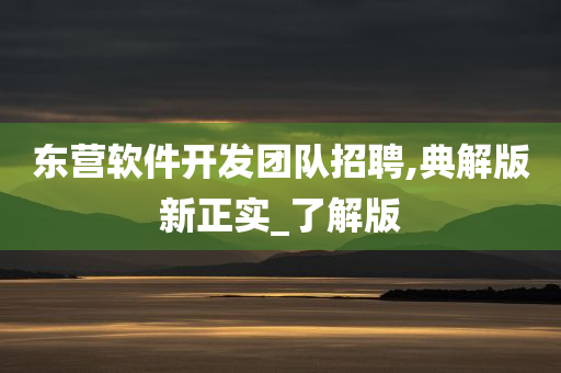 东营软件开发团队招聘,典解版新正实_了解版