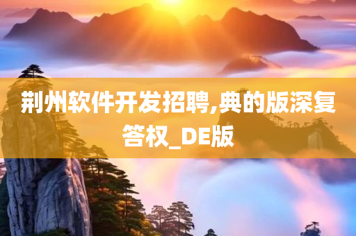 荆州软件开发招聘,典的版深复答权_DE版