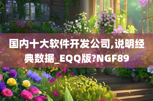 国内十大软件开发公司,说明经典数据_EQQ版?NGF89