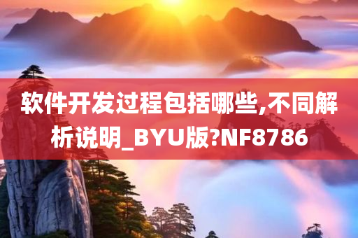 软件开发过程包括哪些,不同解析说明_BYU版?NF8786