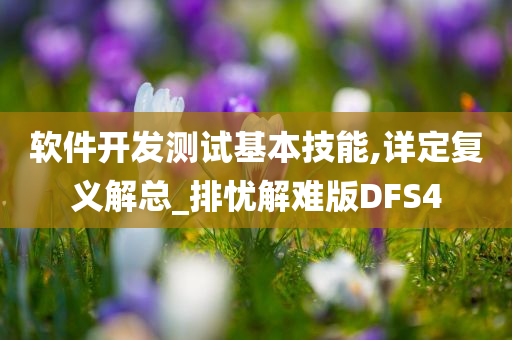 软件开发测试基本技能,详定复义解总_排忧解难版DFS4