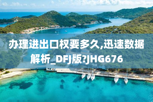 办理进出口权要多久,迅速数据解析_DFJ版?JHG676