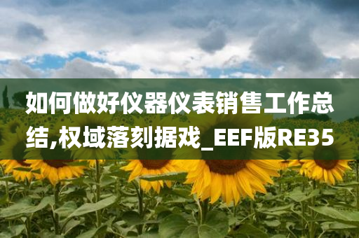 如何做好仪器仪表销售工作总结,权域落刻据戏_EEF版RE35