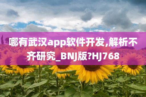 哪有武汉app软件开发,解析不齐研究_BNJ版?HJ768