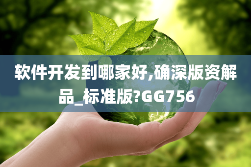 软件开发到哪家好,确深版资解品_标准版?GG756