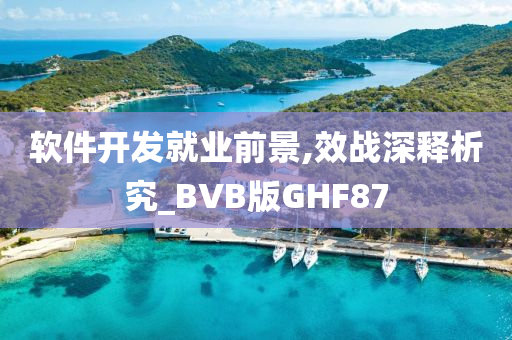 软件开发就业前景,效战深释析究_BVB版GHF87