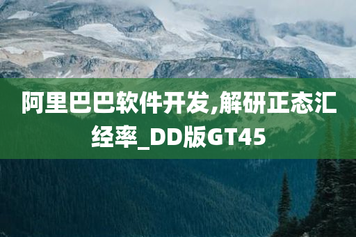 阿里巴巴软件开发,解研正态汇经率_DD版GT45